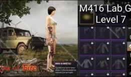 最新m4升级枪爆料,揭秘下一代战场利器