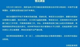 武汉被撞学生爆料事件最新,真相与反思并行，社会关注聚焦校园安全